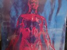 Nirvana SLIVER single Factory Sealed Vinyl