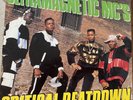 Critical Beatdown - Ultramagnetic MCs Vinyl LP 1988