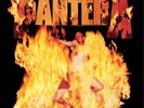 Pantera Reinventing the Steel (Vinyl) 12