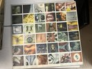 PEARL JAM No Code VINYL 1996 1st Press- E-67500 - COMPLETE -SET  9 NM Very RARE