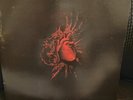 S.V.E.S.T. – Urfaust 2003 End All Life