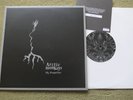 ARCTIC MONKEYS – MY PROPELLER 10″ – Nr MINT 2010 ORIG INDIE ROCK