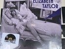 Taylor Swift - Elizabeth Taylor 7” Vinyl  Record Store Day 2026 RSD NEW & SEALED