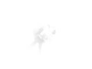 SLINT Untitled (Albini Rough Mixes) 12