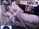 NEW : Taylor Swift - Elizabeth Taylor Record Store Day 2026 Excl. 7