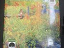 Jhene Aiko Trip Picture Disc Vinyl LP Limited Edition RSD 2026 Record Store Day