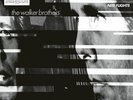 The Walker Brothers Nite Flights RSD Exclusive, Clear Vinyl NEW 2026