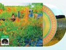 JHENE AIKO Trip 2LP Picture Disc Vinyl RSD 2026 Record Store Day /2000