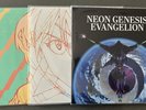 3x Neon Genesis Evangelion Vinyl - Out of Print Variants (Used; see description)