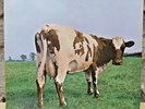 Vinyl Pink Floyd Atom Heart Mother, LP NM, Erstpressung, Hörzu-Ausgabe, Cov EX