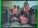 The Flamin' Groovies ‎- Teenage Head  Vinyl Lp  Kama Sutra Records  Rock/Blues