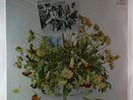 Churls - Send Me No Flowers LP - A&M SEALED