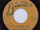 R&B Rocker/Doo Wop 45 EGYPTIANS Flipping Their Top DANAE HEAR j