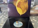 Swans - The Burning World (Vinyl LP - 1989  UK 1ST IN VG+/EX Beautiful copy
