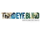Third Eye Blind RSD 2026 Rarities And First Drafts LP Vinyl 33 RPM