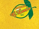 G. LOVE & SPECIAL SAUCE: LEMONADE - LP vinyl *BRAND NEW*