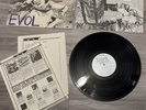 Sonic Youth Evol Vinyl LP OG 1986 SST Records pixies swans husker du black flag