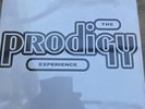 The Prodigy Experience Double Vinyl 2xLP Album New
