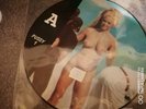 Madonna Rare Nude erotica Interview Picture Disc 12 Vinyl Record.