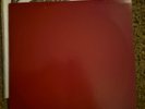 Bruce Springsteen Roxy in stereo 2 colored vinyl