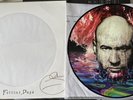 Fish (Marillion) - Fellini Days picture disc lp, Signed