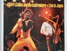 Albert Collins and The Icebreakers-Live In Japan- LP (VG) AL 4733 - Blues Guitar