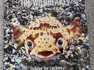 The Wildhearts Fishing for Luckies 2xLPs 1996 Original Gatefold