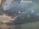 Al Johnson - Peaceful [New Vinyl LP]