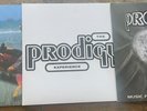 The Prodigy Vinyl LP Bundle Experience Fat Of The Land Jilted Generation Sealed