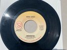 Mudcrutch Depot Street/ Wild Eyes 7” 45 Record Tom Petty Shelter 1975