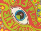 The Psychedelic Sounds Of The 13th Floor Elevators (mono) (half speed remaste...