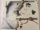 FROM AUTUMN TO ASHES – TOO BAD YOU'RE BEAUTIFUL -20TH ANNIV /1000 180G VINYL 2LP