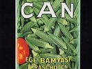 Can EGE BAMYASI Remastered LIMITED EDITION New Sealed Green Colored Vinyl LP