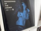 The Wanderings Of The Avener vinyl SEALED