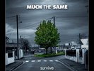 Much the Same Survive (Vinyl)