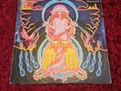Hawkwind Space Ritual A-2 B-2 A-2 B-2 Double LP Album Vinyl Record - EX/VG+