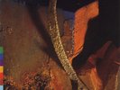Nusrat Fateh Ali Khan - Mustt Mustt (LP, Album)
