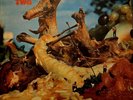 Toe Fat Two vinyl LP 1971 RARE White Label PROMO Near Mint Rare Earth label