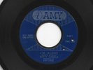NORTHERN SOUL POPCORN DOOWOP 45 - DOTTY DANIELS - I'M ALONE - HEAR -1963 AMY