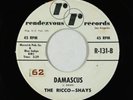Surf Inst. 45 - Ricco-Shays - Damascus - Rensezvous