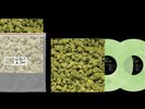 Dr. Dre 2001 Green & Clear Vinyl 2lp Ziplock Bag Complex Exclusive Vinyl
