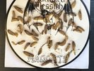 NUNSLAUGHTER MUTILATED MESSIAH split Picture Disk MAGGOT Sabbat