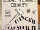 New Found Glory Make The Most Of It LP Vinyl Revelation 199 2023 Pop Punk Ltd E…