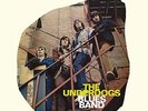 The Underdogs Blues Band (Vinyl)