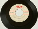 Delatones ROCKABILLY DOO WOP 45 Little Jeanie / Dream World TNT VG++/VG+++ HEAR
