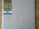 King Gizzard & The Lizard Wizard : Made In Timeland : Limited Edition Rainbow LP
