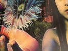 Future Sound of London FSOL, Lifeforms LP (Reissue),UNPLAYED,MINT, Free Delivery