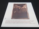 Pixies - Surfer Rosa 12
