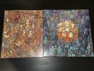 Dance Gavin Dance Tree City Sessions Vinyl LP Bundle
