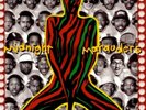 MIDNIGHT MARAUDERS